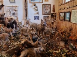 b_1024_768_0_00_images_2022_2023_SKKT_PTTK_rajd_czerwiec_352313386_983952579592998_6717601268895205565_n